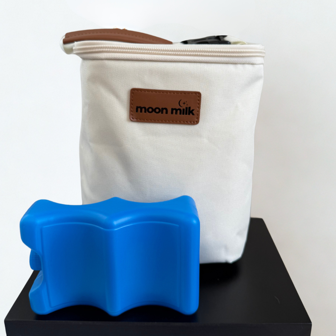 On-The-Go Cooler Bag